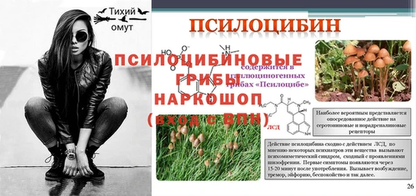 прущие крисы Зеленодольск