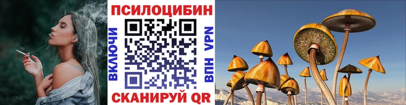 Галлюциногенные грибы GOLDEN TEACHER  Купить  Туринск 